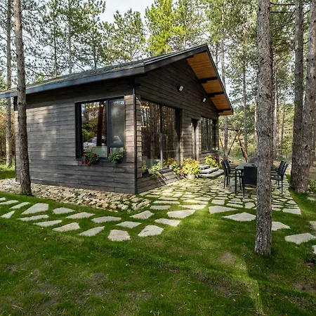 Forest House Vi