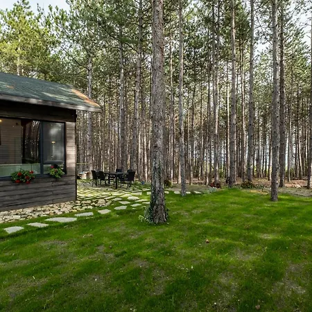 Forest House Vi Вілла Варна