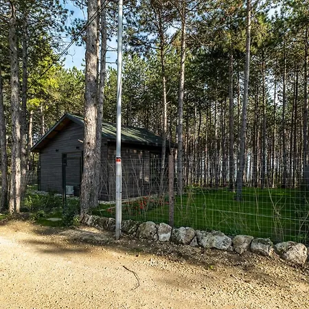 Forest House Vi Варна