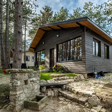 Forest House Vi Вилла Варна