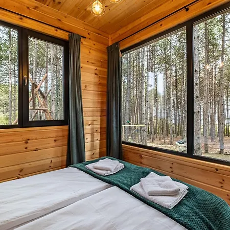 Forest House Vi *