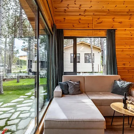 Forest House Vi * Warna