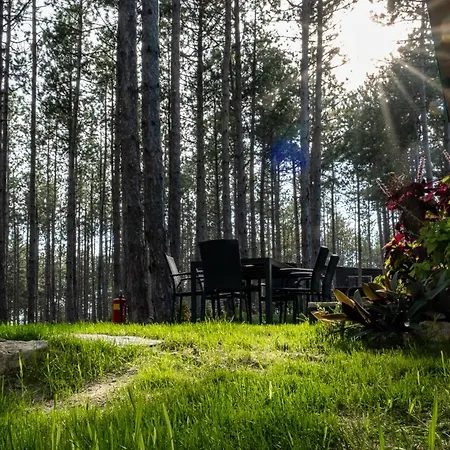 Вилла Forest House Vi