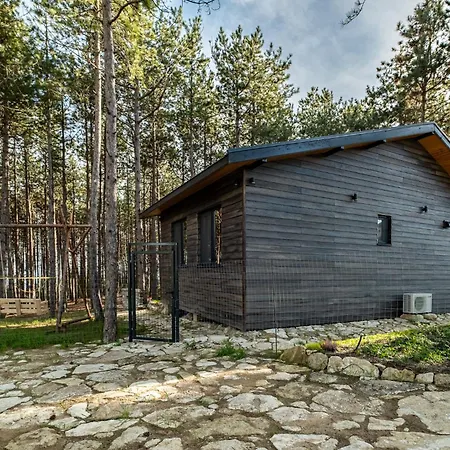 Forest House Vi Вилла Варна