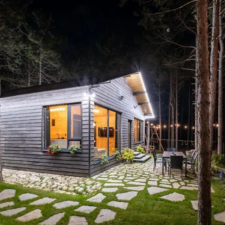 Forest House Vi
