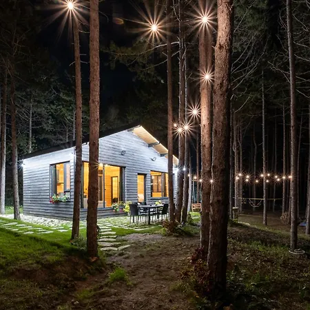 Willa Forest House Vi *