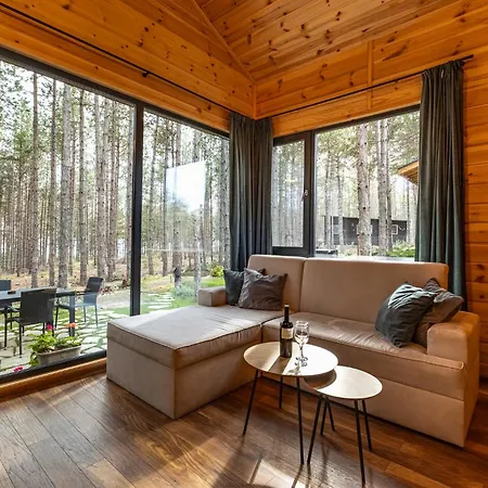 Forest House Vi Warna