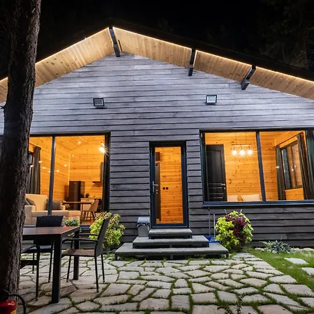 Willa Forest House Vi *