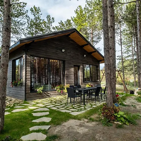 Forest House Vi Вилла
