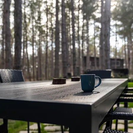 Forest House Vi Вилла