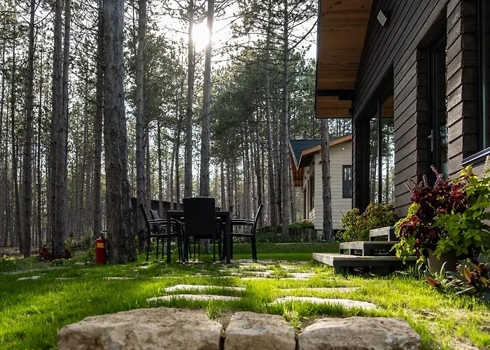 Forest House Vi Вілла