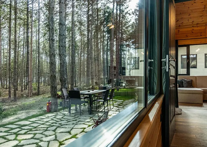 Forest House Vi Vilă *