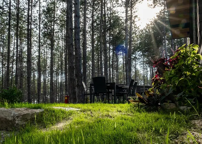 Вілла Forest House Vi