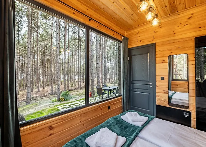 Forest House Vi Vilă