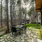 Forest House Vi