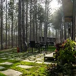 Forest House Vi *