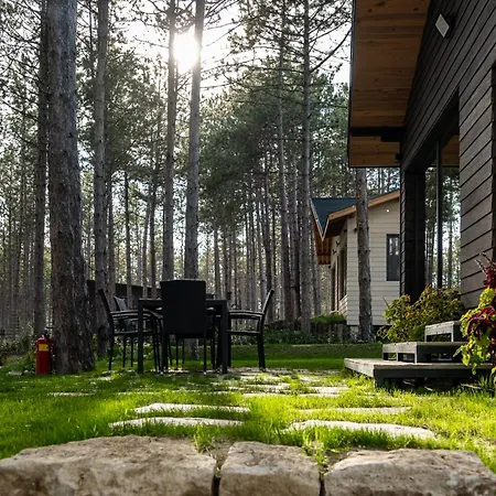 Forest House Vi Villa