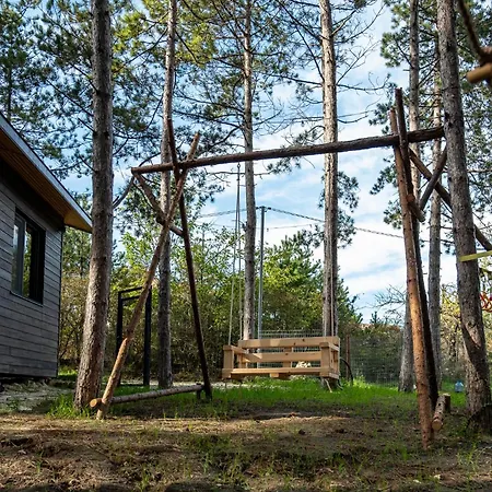 Forest House Vi * Warna