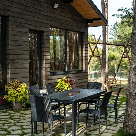 Forest House Vi Warna