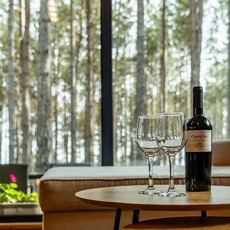 Villa Forest House Vi Varna