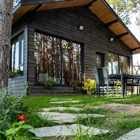 Forest House Vi * Warna