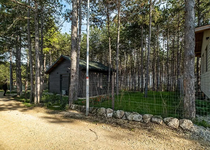 Forest House Vi 瓦爾納