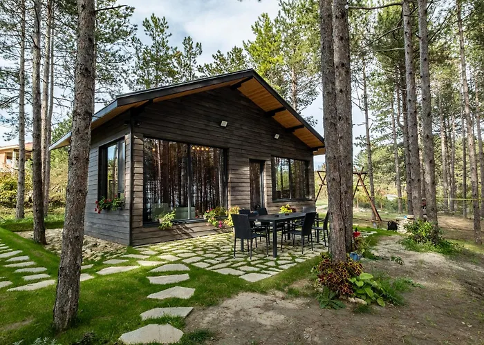 Forest House Vi 别墅